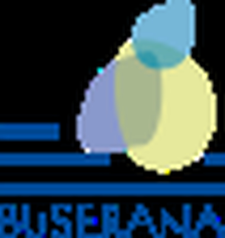 Buserana (centro de negocios vigo sl)