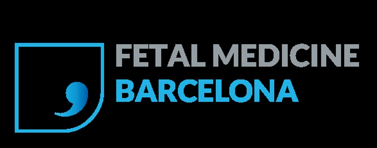 Medicina Materno Fetal BCN S.L.