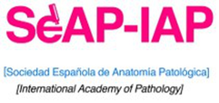 SEAP Principado de Asturias