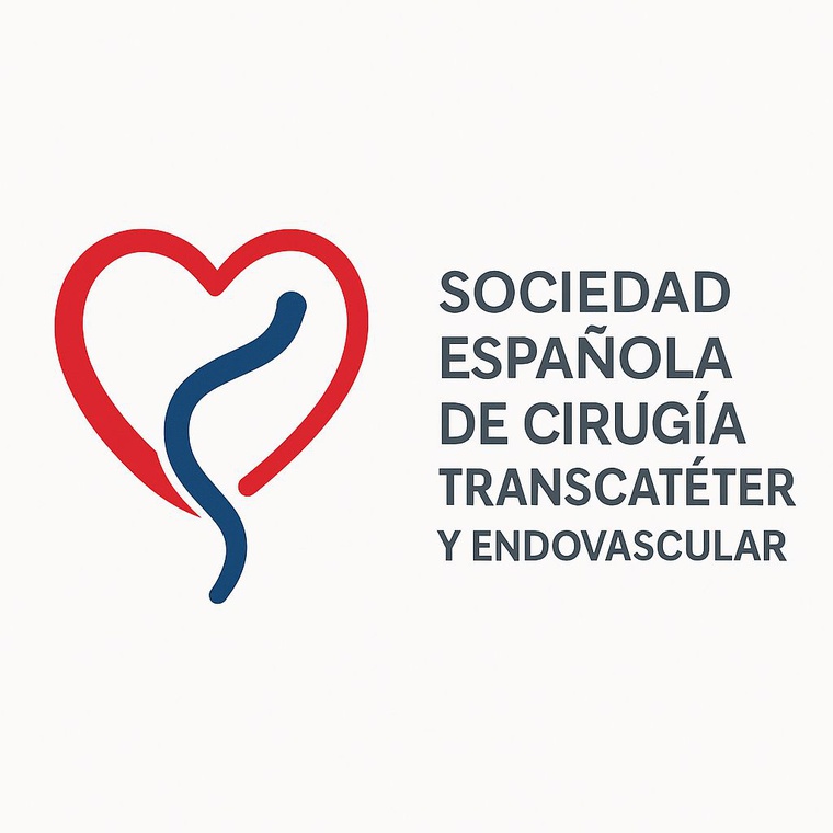 Asociación Española de Cirugía Transcatéter y Endovascular