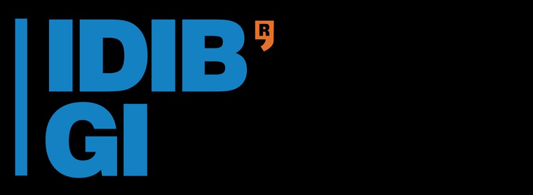 IDIBGI